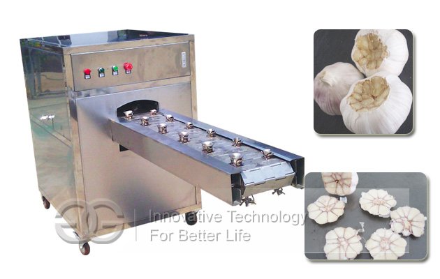 New Model Garlic Root Cutting Machine|Concave Cutting Machine