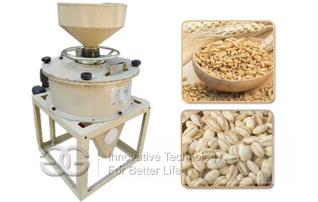 Small Buckwheat Hulling Machine|Barley Peeling Machine Video
