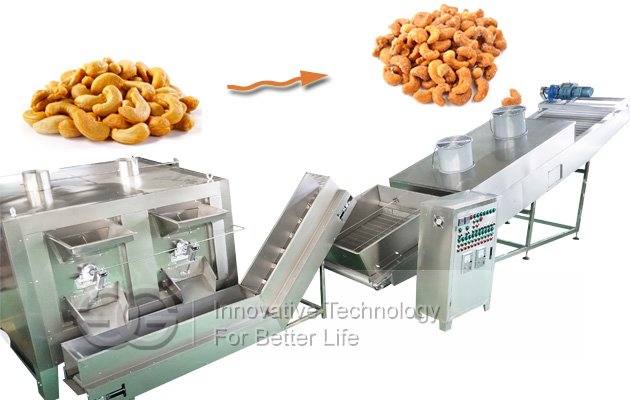 Cashew Peeling Roasting Processing Line Factory in China