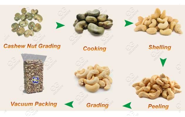 Cashew Shelling Line Working Production Process
