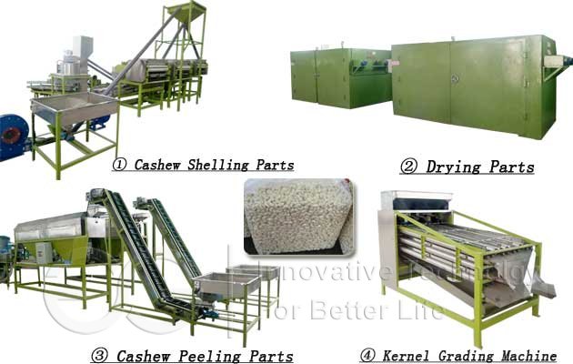 Cashew Nut Processing Plant