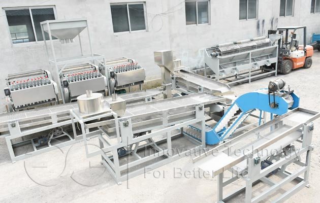 Cashew Nut Processing Line