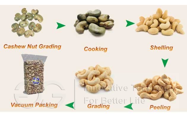 Cashew Nut Processing Machine Flow Chart
