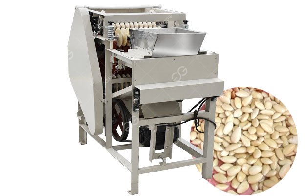 Wet Almond Blanching Peeling Machine for Almond Skin Removal