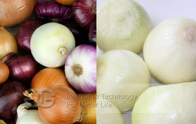 Onion Peeling Equipment