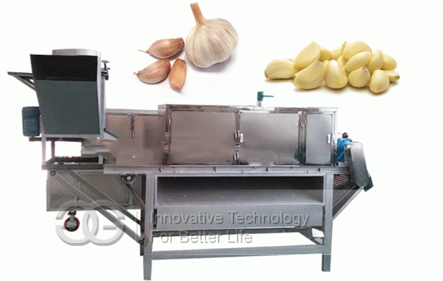 Garlic Peeling Machine