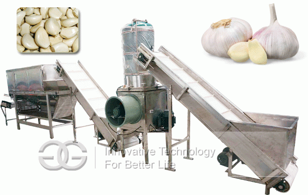 Garlic Peeling Processing Line