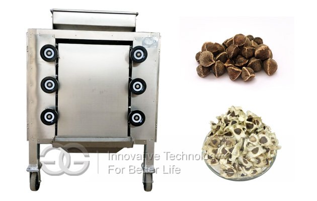 Moringa Seed Powder Grinder