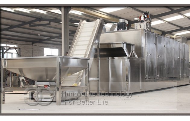 Automatic Pine Nut Roasting Plant