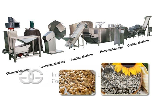 Sunflower Seed Roasting Plant