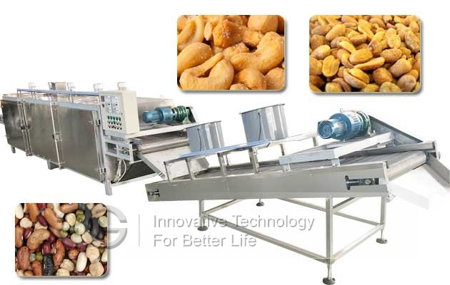 Peanut Roasting Processing Plant