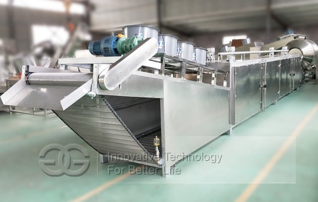 Cashew Nut Peeling Roasting Plant