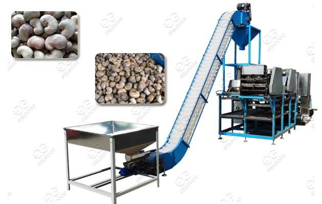 Cashew Processing Line