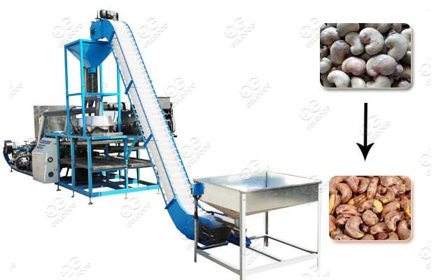 Cashew Nut Shelling Plant