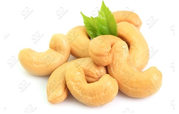 Cashew Nut Kernel