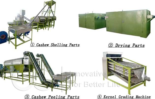 Cashew Nut Shelling Processing Plant