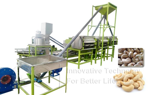 Cashew Nut Processing Line