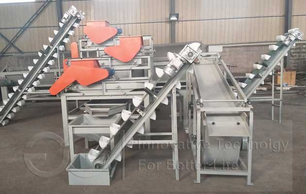 Hazelnut Shelling Processing Machine