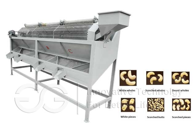 Cashew Nut Grading Machine