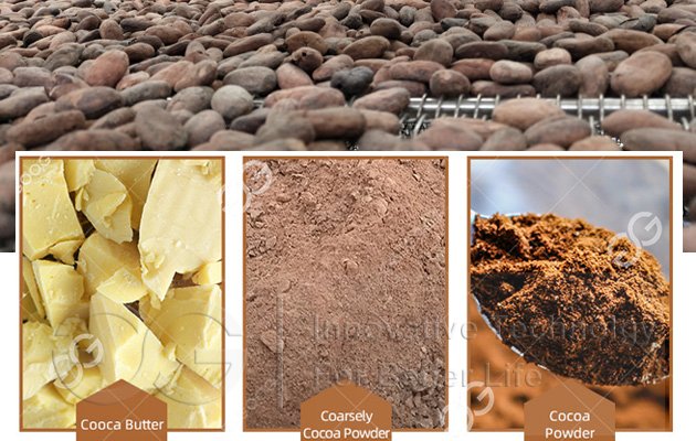 Cocoa Processing Products