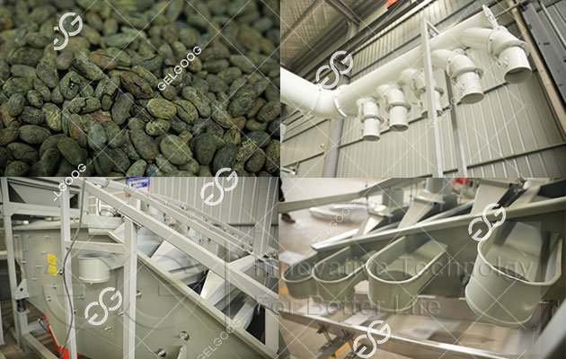 Peanut Peeling And Half Cutting Machine